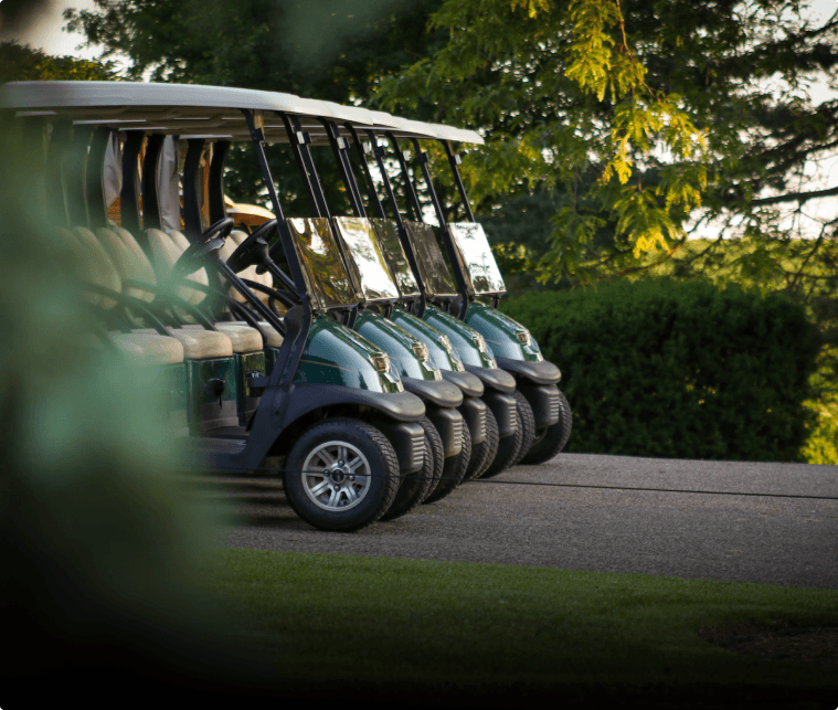 Row of golf carts parked beside a fairway